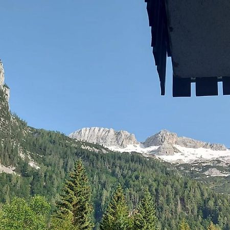 Appartamento Incantevole Con Ampio Balcone Sella Nevea Kültér fotó